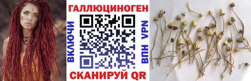 блэк спрут сайт  Калачинск  Галлюциногенные грибы прущие грибы 
