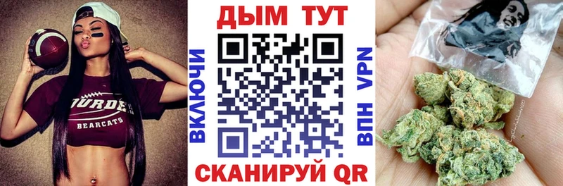 Бошки Шишки планчик Калачинск